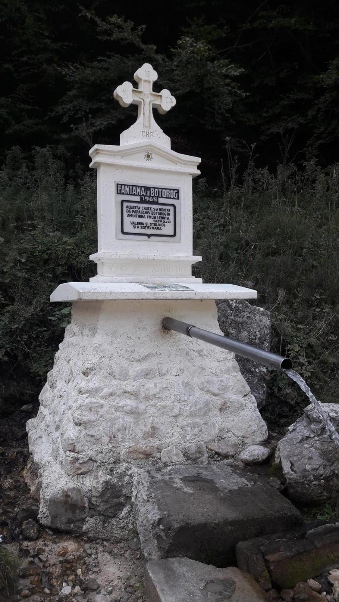 Cazare Zorilor Зернешті Номер фото